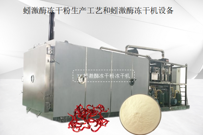 冷凍干燥機|凍干機|真空冷凍干燥機|大型冷凍干燥機|食品凍干機|制藥真空冷凍干燥機|食品凍干設備|制藥冷凍干燥機