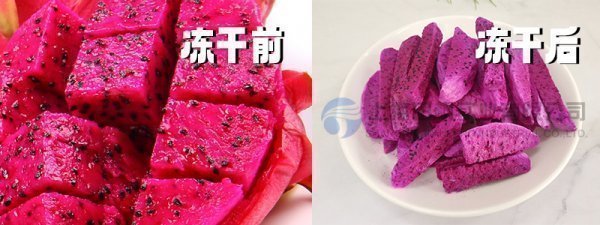 圖片 1.png