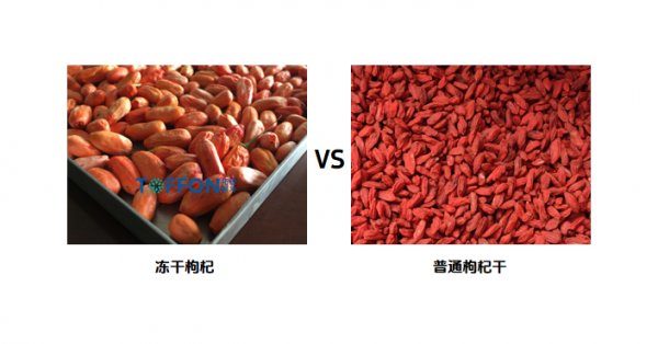 凍干寧夏枸杞，保留營養(yǎng)和鮮紅